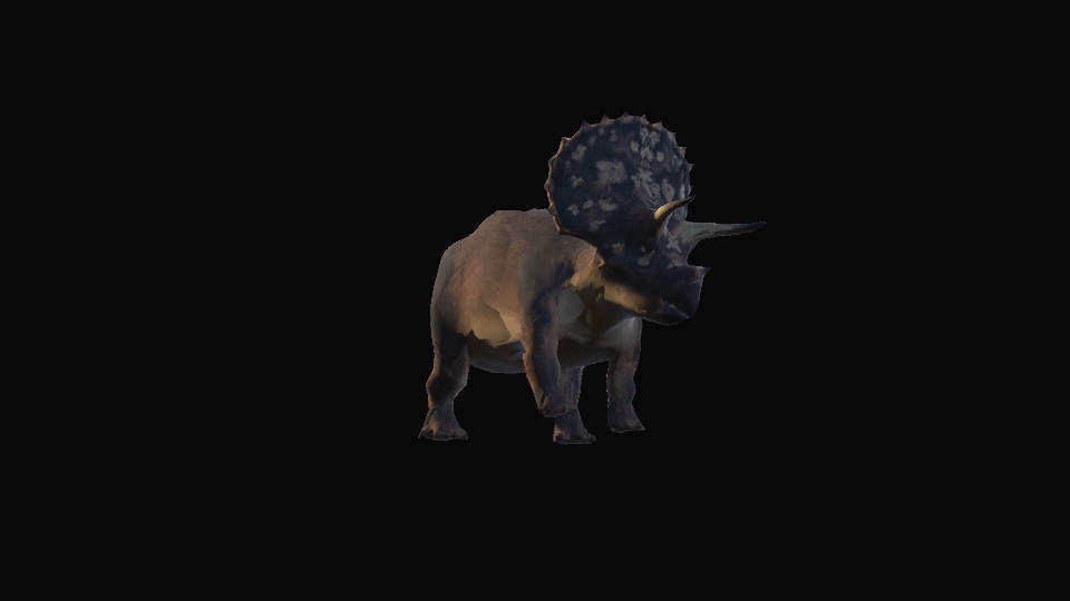 Triceratops, the model on a turntable